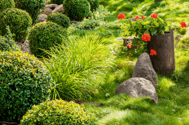 El Mexicano Landscaping